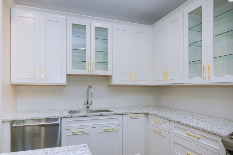 Glass Cabinets Installation in Muncie, IN